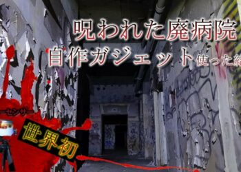 1658798388_maxresdefault-3945853-9981032-jpg