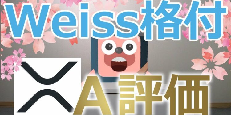 1659645586_maxresdefault-9192288-2517127-jpg