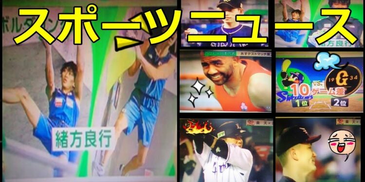 1660053009_maxresdefault-4784323-5439774-jpg