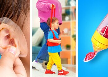 1660324067_maxresdefault-7229944-1463030-jpg