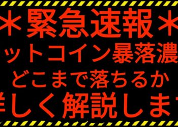 1661002232_maxresdefault-2956968-2937274-jpg