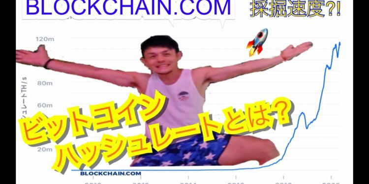 1661233189_maxresdefault-2662457-4149412-jpg