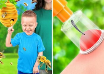 1661297993_maxresdefault-8308180-1316924-jpg