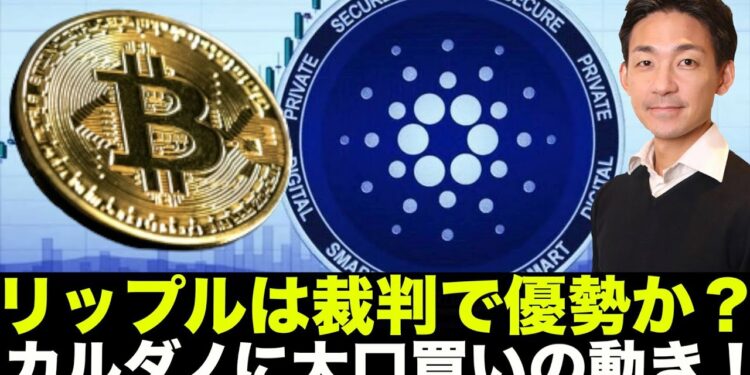 1661723814_maxresdefault-2209957-2337864-jpg