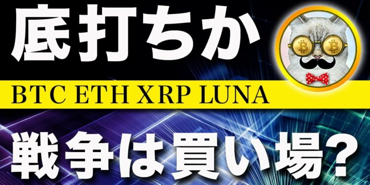 1661983557_maxresdefault-4693834-8946670-jpg