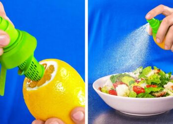 1662109614_maxresdefault-7335095-8618251-jpg