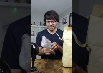 1662336823_maxresdefault-6267363-1363798-jpg