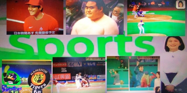 1663256687_maxresdefault-9982962-5936517-jpg