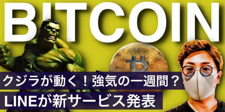 1663686536_maxresdefault-5979759-9252884-jpg