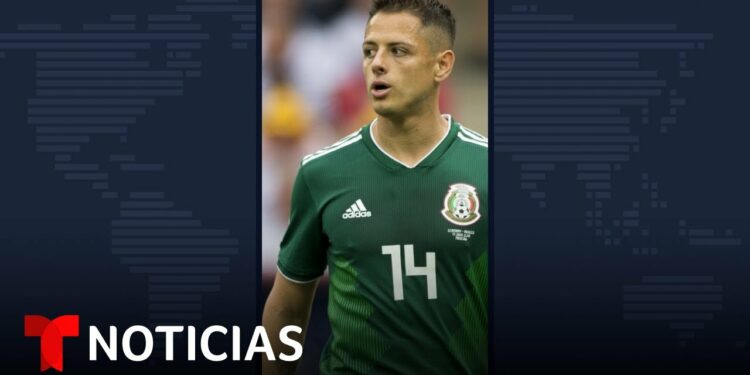 1664555397_maxresdefault-7187855-4489185-jpg