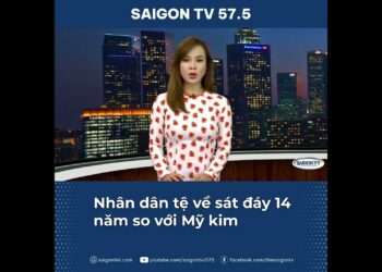 1664562727_maxresdefault-1684092-2390089-jpg