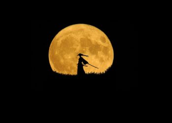 hd-wallpaper-g63581afac_1280