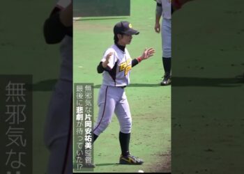 1664613120_maxresdefault-6196181-7465121-jpg