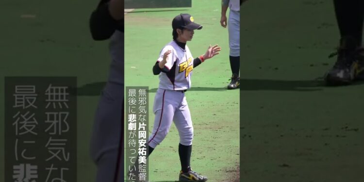 1664613120_maxresdefault-6196181-7465121-jpg