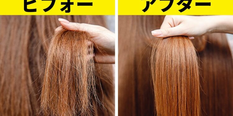 1664771398_maxresdefault-4633731-4540841-jpg