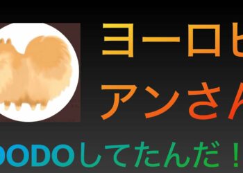 1664840984_maxresdefault-3805900-4997132-jpg