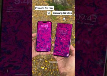 1664966157_maxresdefault-8035025-6263343-jpg