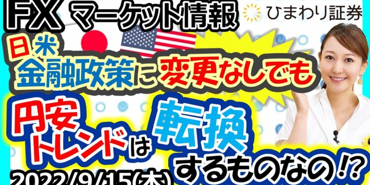 1665687493_maxresdefault-4125056-7211024-jpg