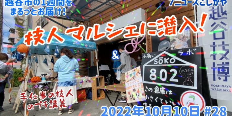 1665883207_maxresdefault-3108623-1194040-jpg