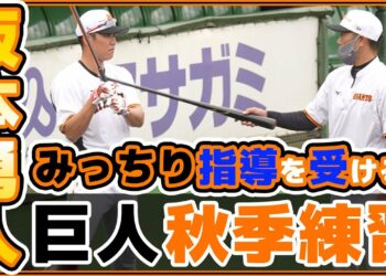 1666085217_maxresdefault-8095680-8860635-jpg