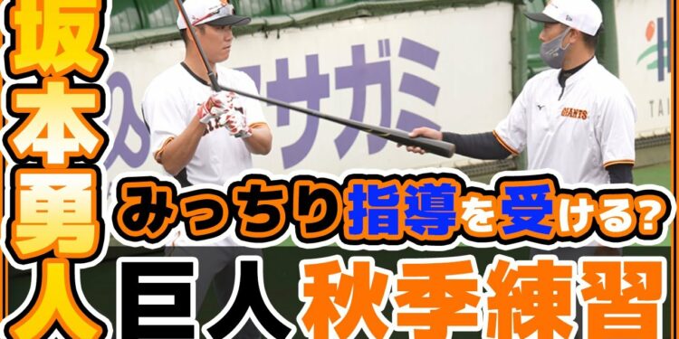 1666085217_maxresdefault-8095680-8860635-jpg