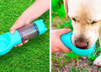 1666232323_maxresdefault-7452104-5967134-jpg