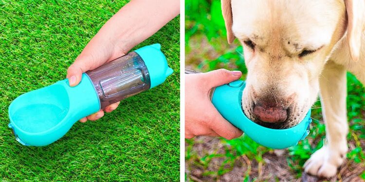 1666232323_maxresdefault-7452104-5967134-jpg