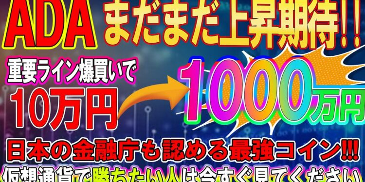 1666371135_maxresdefault-9120400-3025754-jpg