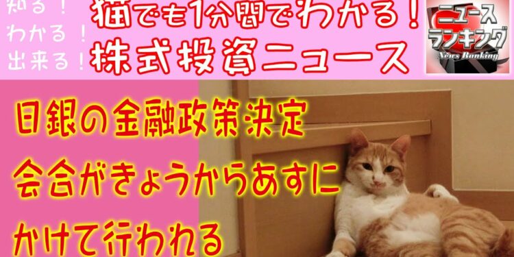 1666379649_maxresdefault-2003030-5885985-jpg