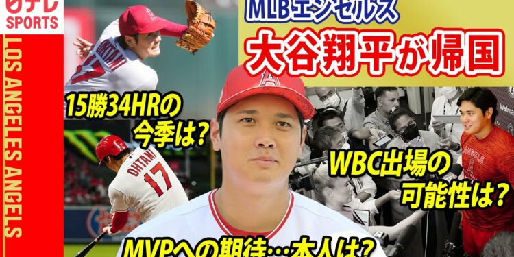 1666633556_maxresdefault-6742568-1308835-jpg