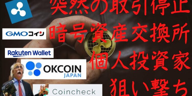 1667236984_maxresdefault-3106832-1121395-jpg