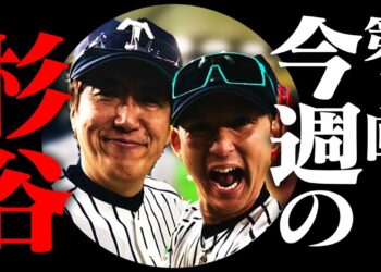 1667730407_maxresdefault-3722903-8569131-jpg