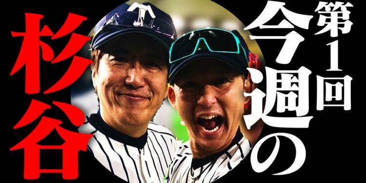 1667730407_maxresdefault-3722903-8569131-jpg