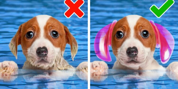 1667758208_maxresdefault-9909396-4557087-jpg