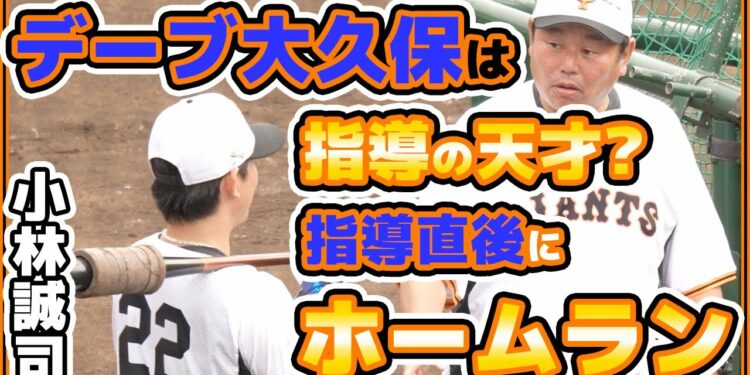 1667903571_maxresdefault-6985057-8536673-jpg