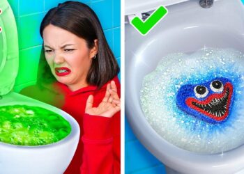 1667952886_maxresdefault-6277957-6317965-jpg