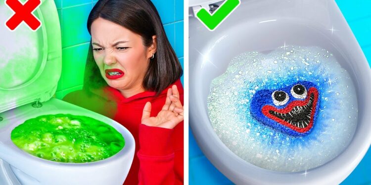 1667952886_maxresdefault-6277957-6317965-jpg