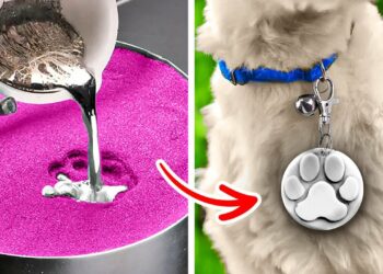 1668082741_maxresdefault-7066185-4557588-jpg