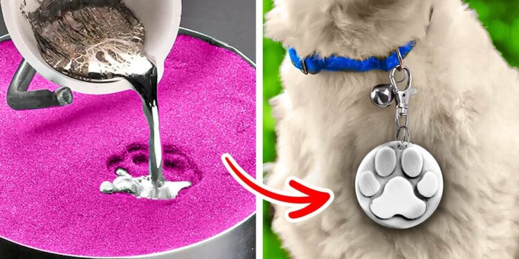 1668082741_maxresdefault-7066185-4557588-jpg