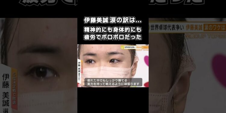 1669029259_maxresdefault-8924732-1464090-jpg