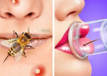 1669186619_maxresdefault-3821630-9014518-jpg