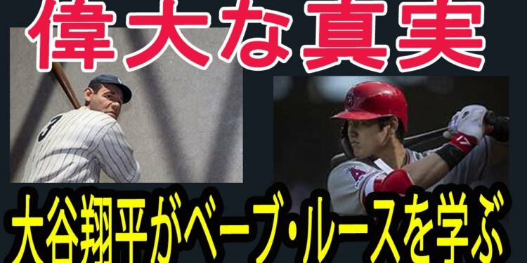 1669231303_maxresdefault-5663594-2145814-jpg