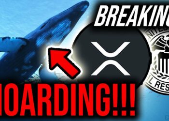 1669401703_maxresdefault-8983172-4245260-jpg