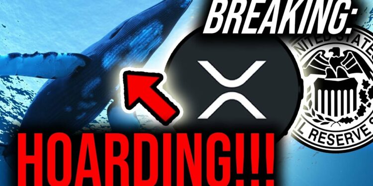 1669401703_maxresdefault-8983172-4245260-jpg