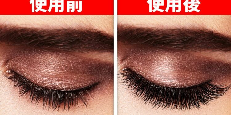 1669673689_maxresdefault-3069572-2218748-jpg