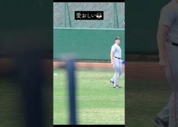 1669981775_maxresdefault-5158296-2772293-jpg