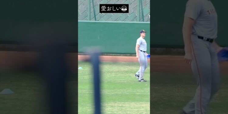 1669981775_maxresdefault-5158296-2772293-jpg