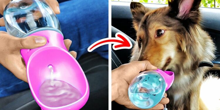 1670063187_maxresdefault-2319387-8078093-jpg