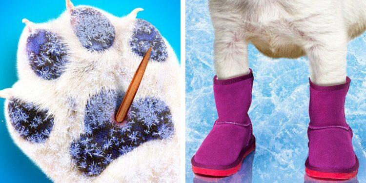 1670452613_maxresdefault-2506691-6805355-jpg