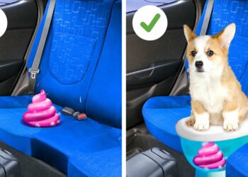 1670517523_maxresdefault-1401125-2266384-jpg